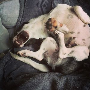 Meet your Posher, William